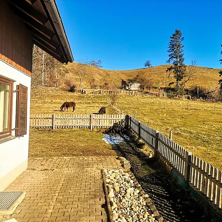 Gockel Haus *